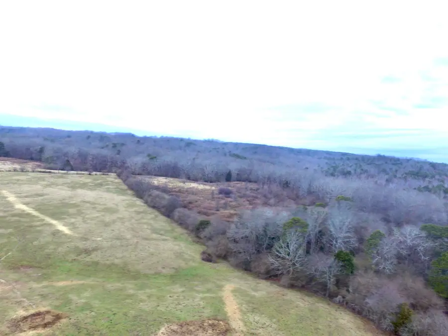 1255 Co Rd 1219, Falkville, AL 35622 - Image #3