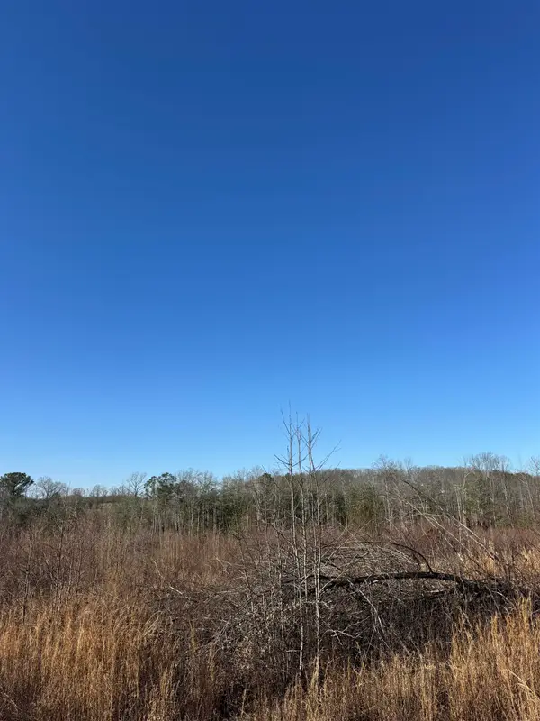 0 County Hwy 32, Hackleburg, AL 35564