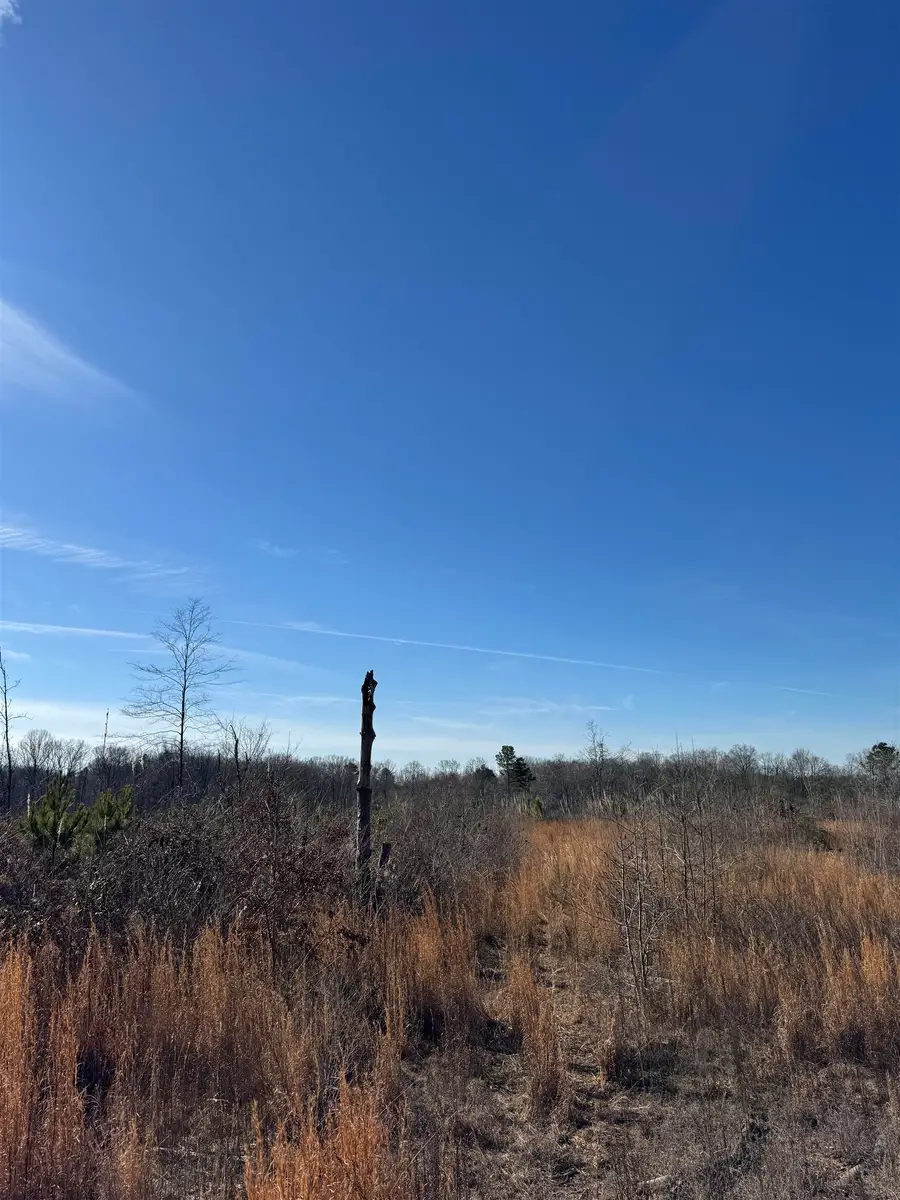 0 County Hwy 32, Hackleburg, AL 35564 - #2