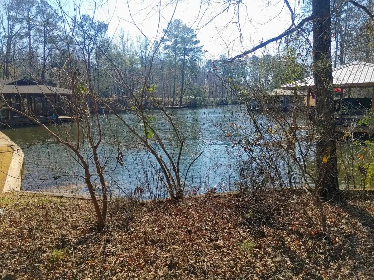 10 Yacht Club Rd, Titus, AL 36080 - Image #1