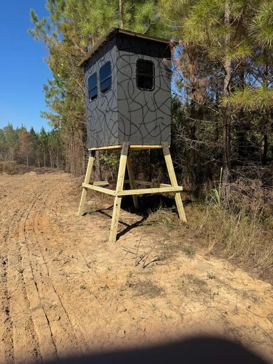 0 Co Rd 32, Hodges, AL 35571 - #3