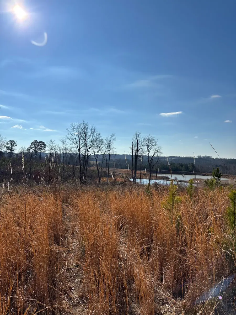 0 Co Rd 1073, Vinemont, AL 35179 - #2