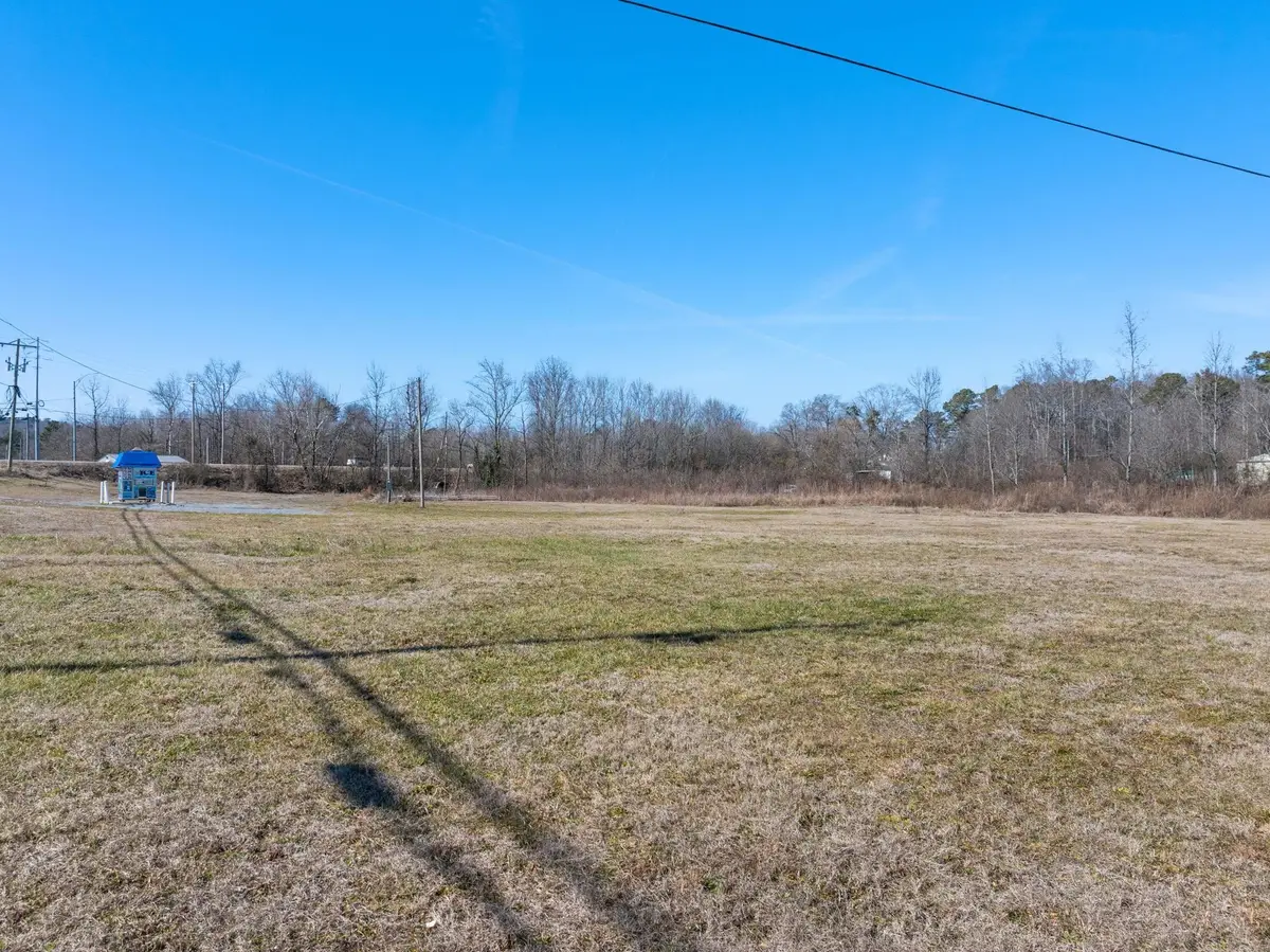 1408 Co Rd 616, Hanceville, AL 35077 - #1