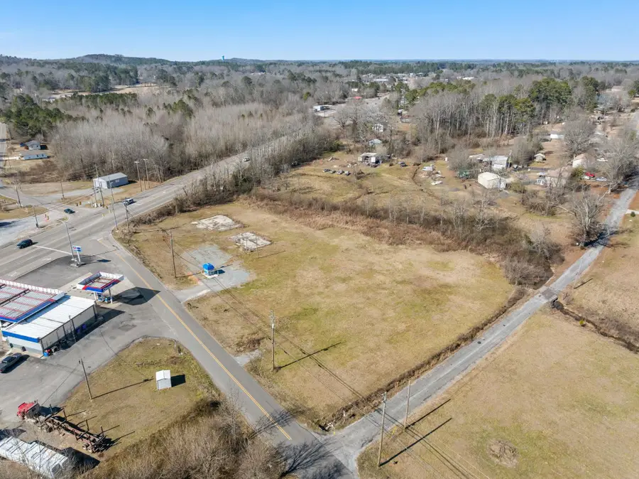 1408 Co Rd 616, Hanceville, AL 35077 - #3