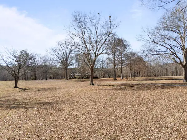 248 Co Rd 329, Crane Hill, AL 35053