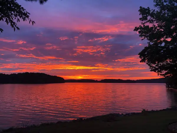 01 Lakefront Dr, Russellville, AL 35653