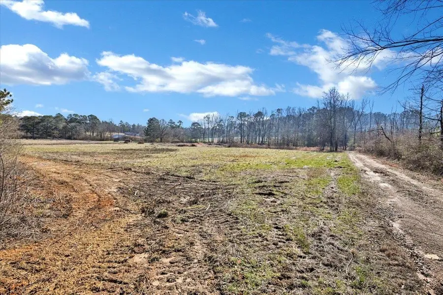 00 Co Rd 1251, Vinemont, AL 35179 - #3