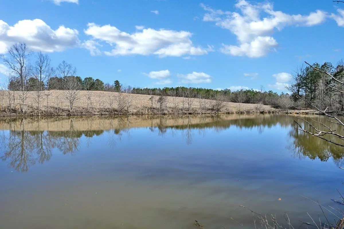 TBD Co Rd 35, Hanceville, AL 35077 - #1