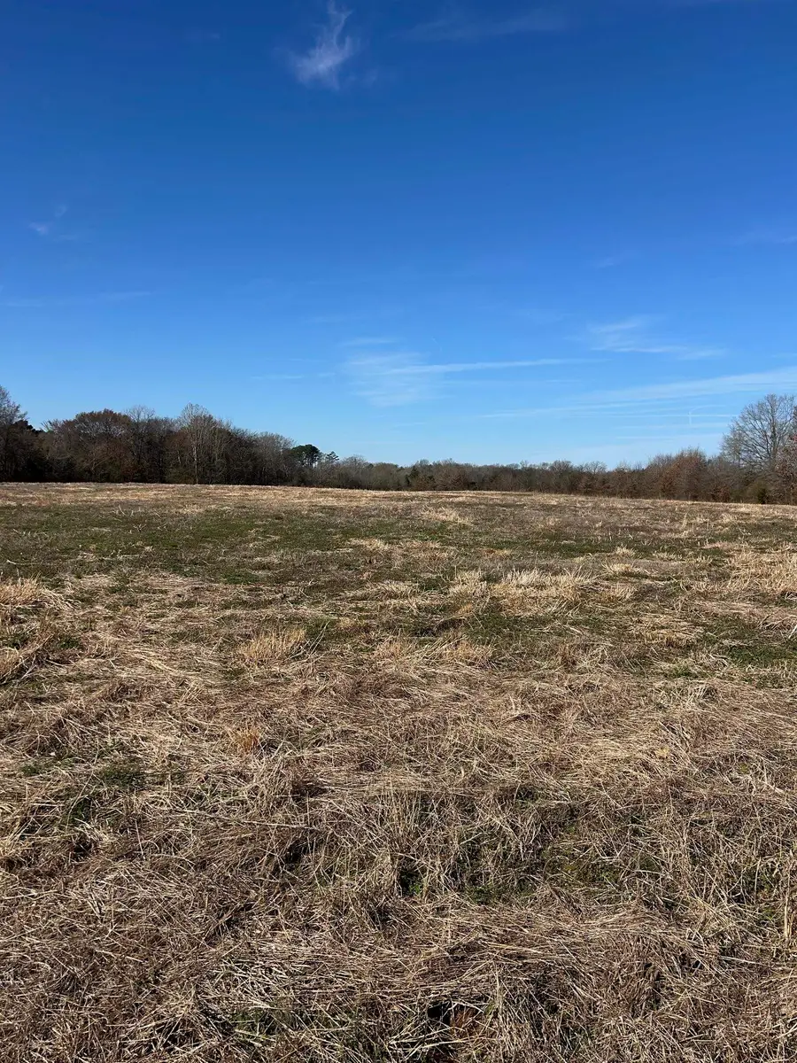 0 Co Rd 129, Russellville, AL 35654 - #2