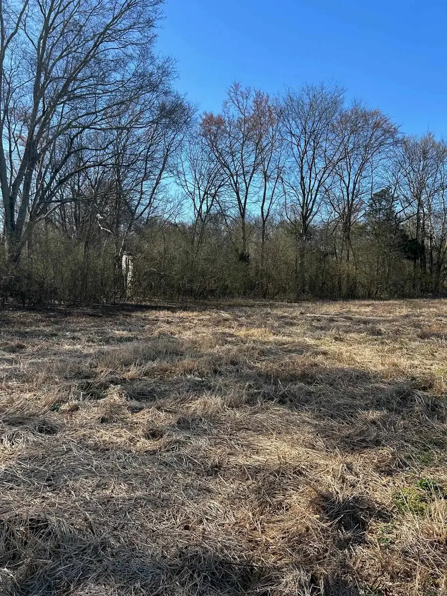 0 Co Rd 129, Russellville, AL 35654 - #3