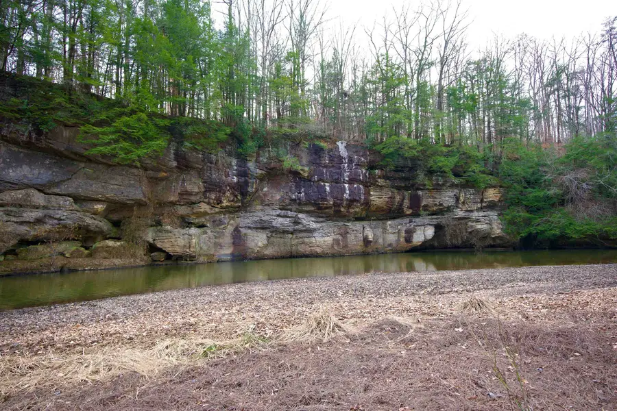 0 Hwy 81, Phil Campbell, AL 35581 - #3