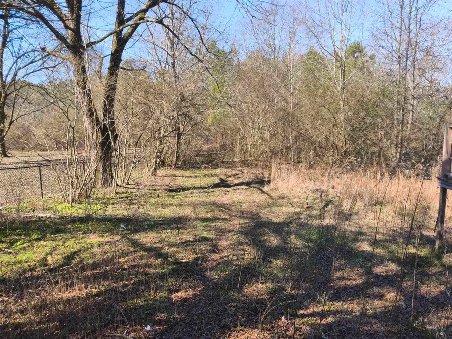 2762 Dime Rd, Haleyville, AL 35565 - #3