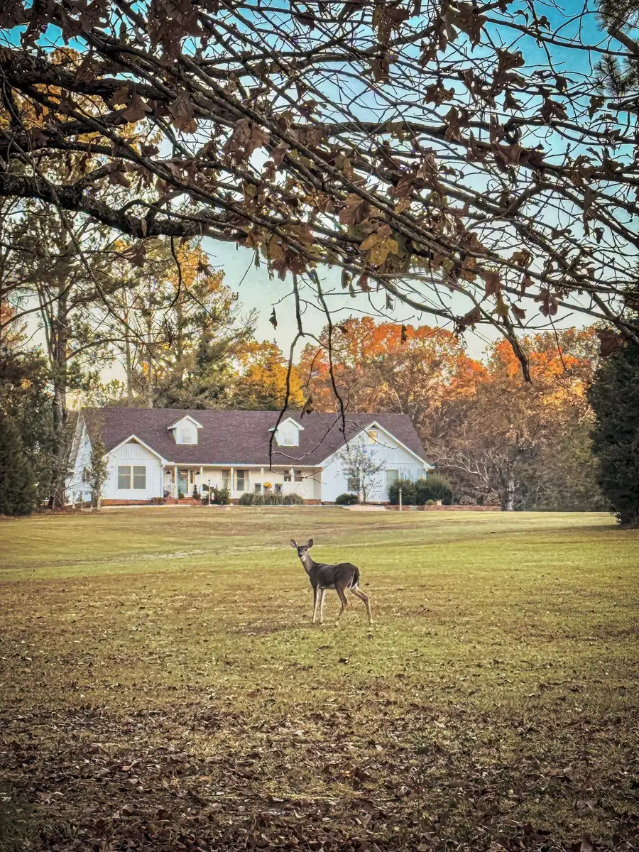 1620 Hwy 46, Russellville, AL 35653 - #2