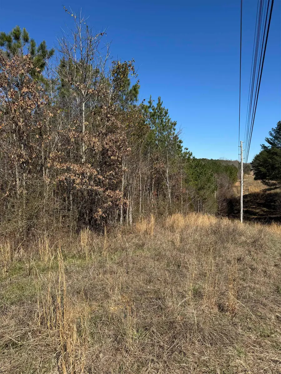00 Hwy 21, Russellville, AL 35653 - #2