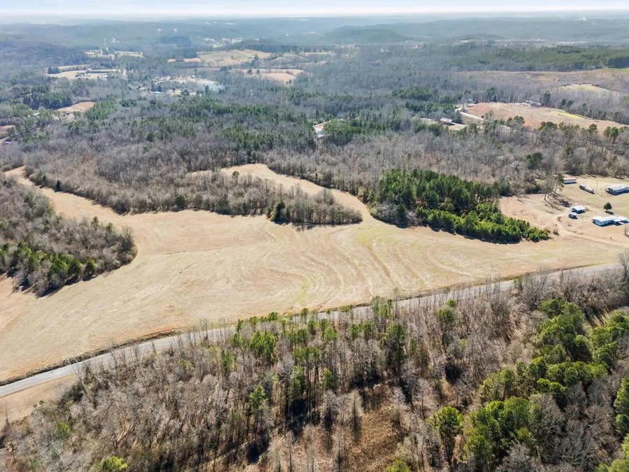 00 Co Rd 848, Logan, AL 35098 - #2