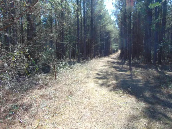 9655 Co Rd 2, Double Springs, AL 35553