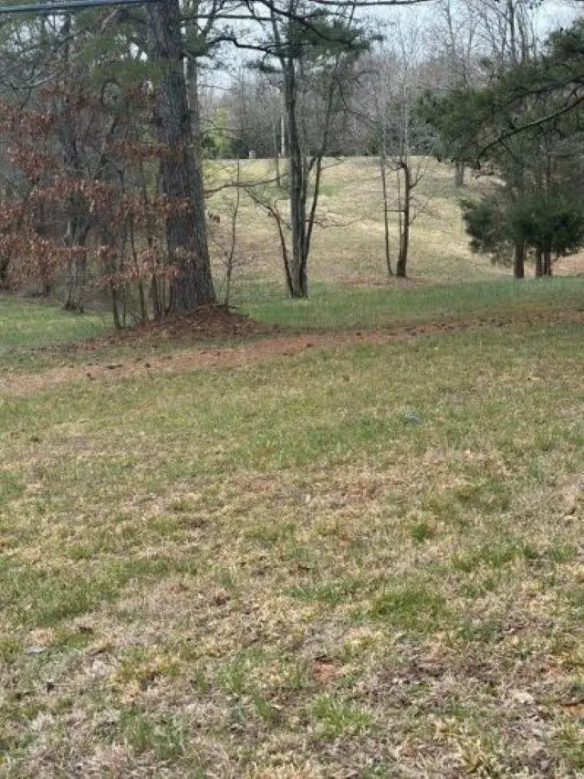 318 Cox Rd, Killen, AL 35645 - #1