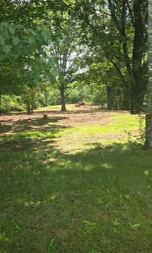 6208 Co Rd 8, Waterloo, AL 35677