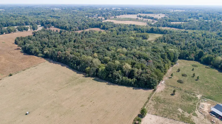 000 Co Rd 55, Rogersville, AL 35652 - #3