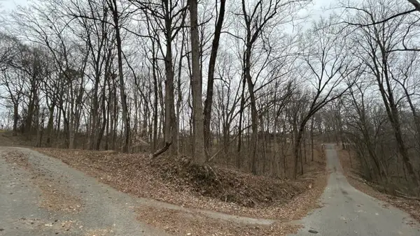 110 Scenic Dr, Russellville, AL 35653