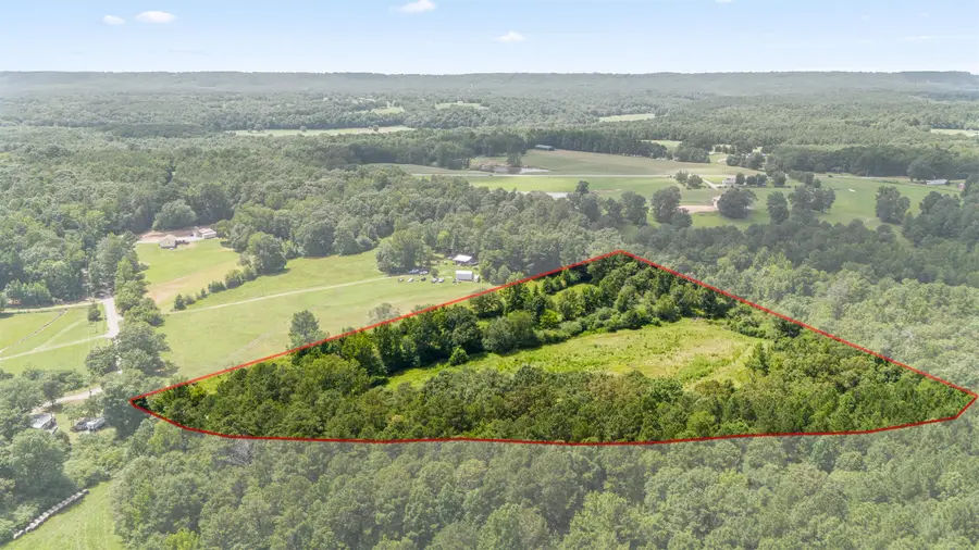 11AC Co Rd 501, Hanceville, AL 35077 - #2