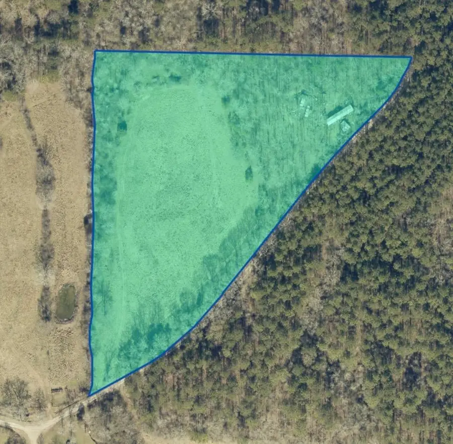 11AC Co Rd 501, Hanceville, AL 35077 - #3