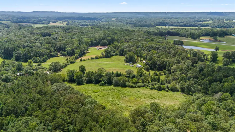 13AC Co Rd 501, Hanceville, AL 35077 - #3