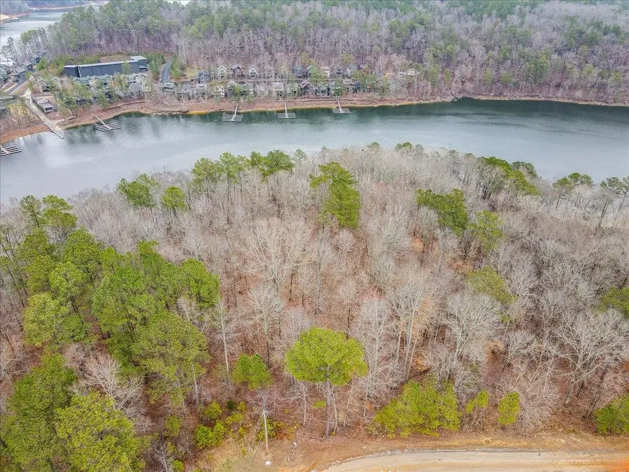 Lot#9 Co Rd 106, Logan, AL 35098 - #3