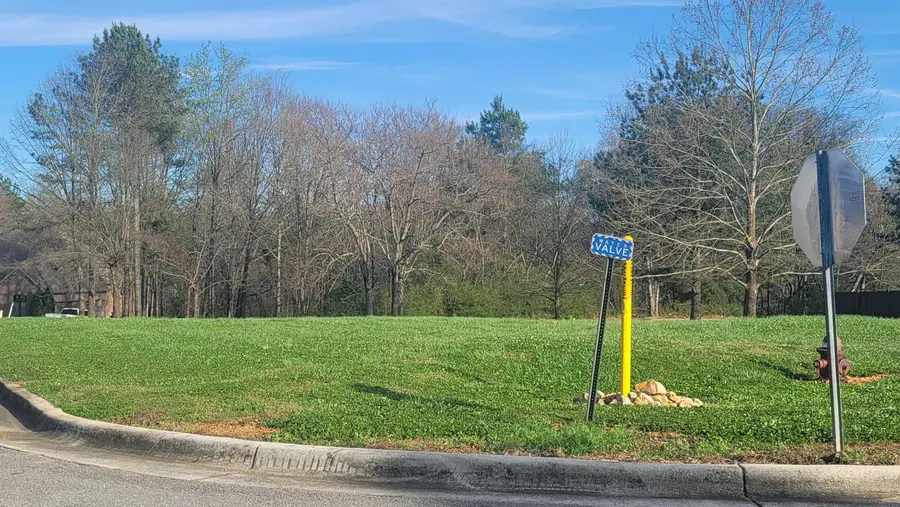 0 Golf Trail Rdg, Muscle Shoals, AL 35661 - #3