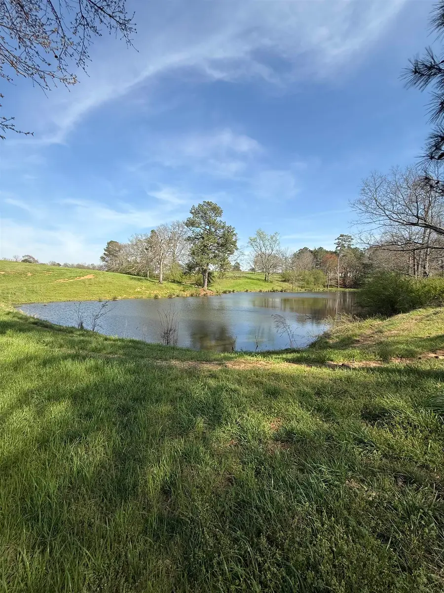 0 Co Rd 798, Cullman, AL 35055 - #3