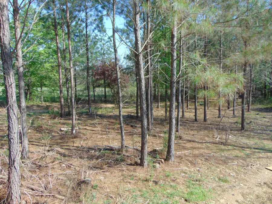 320 Co Rd 150, Waterloo, AL 35677 - #2