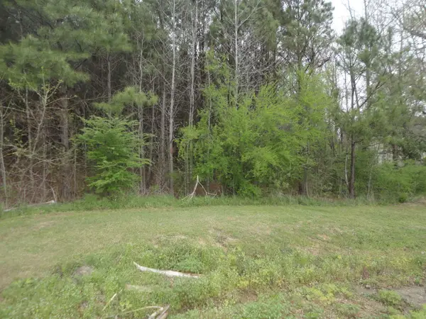 0 3rd St, Hanceville, AL 35077