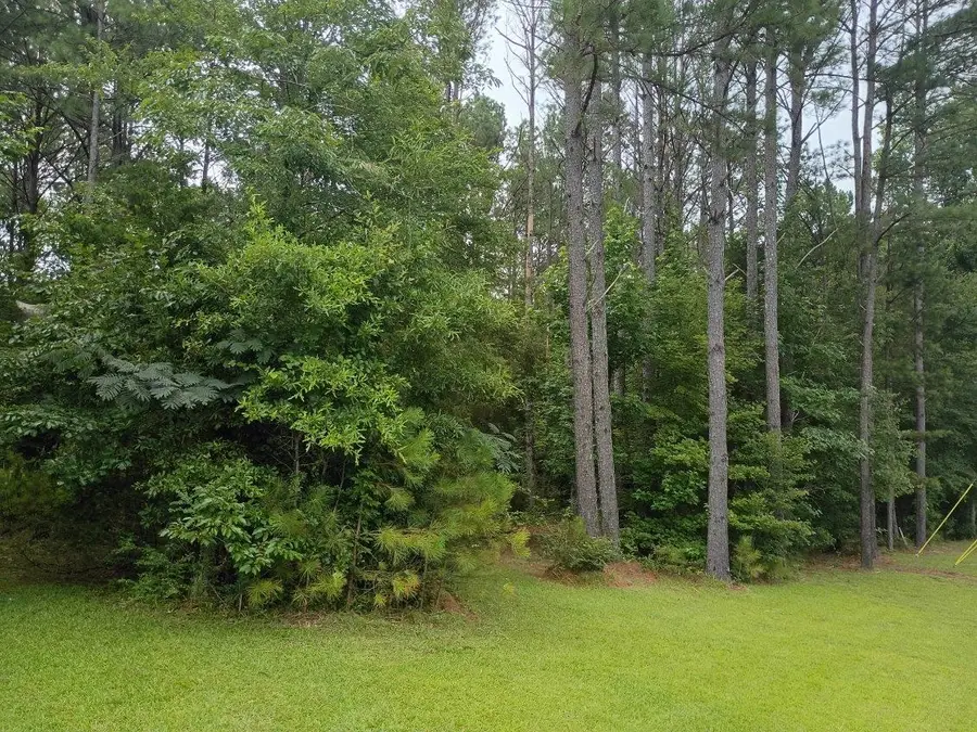 5465 Steele St, Hamilton, AL 35570 - #3