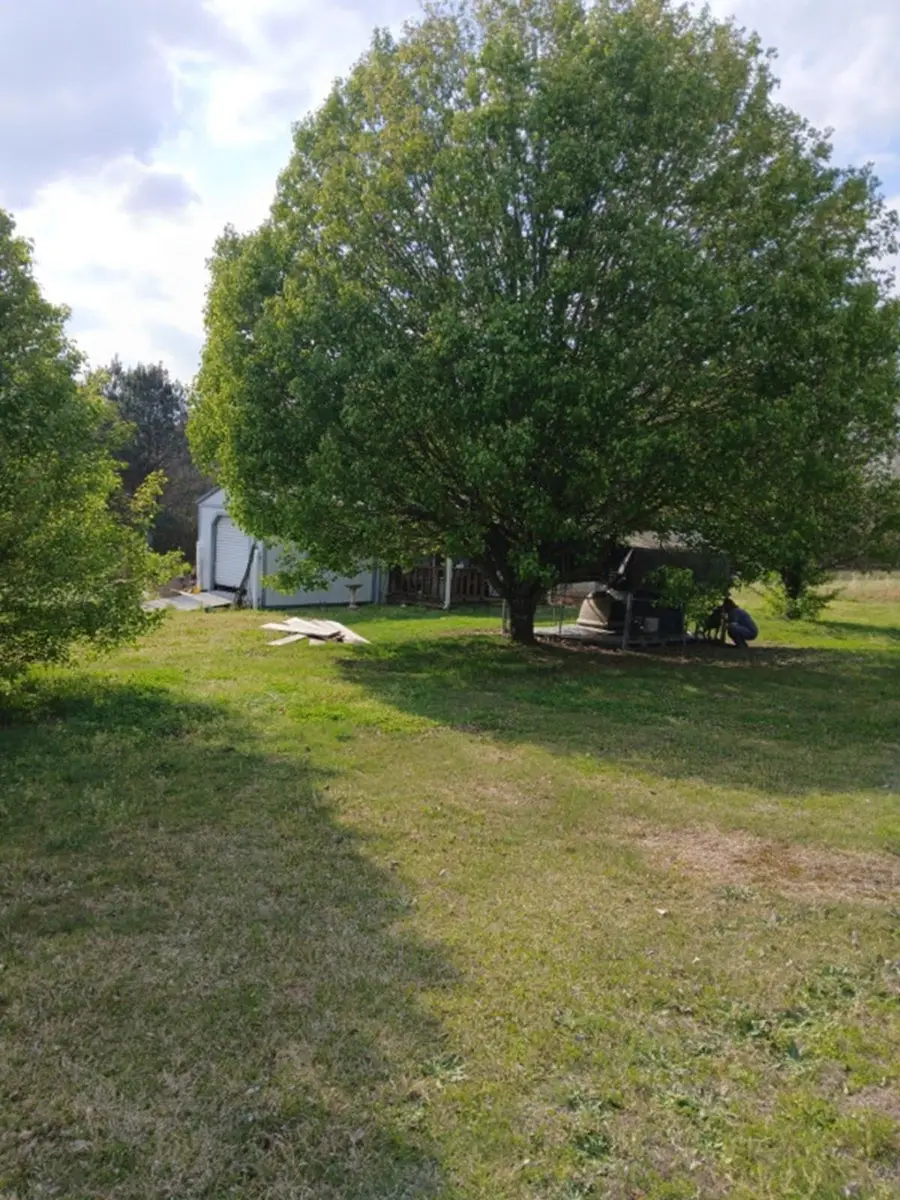 165 Belva St, Phil Campbell, AL 35581 - #3