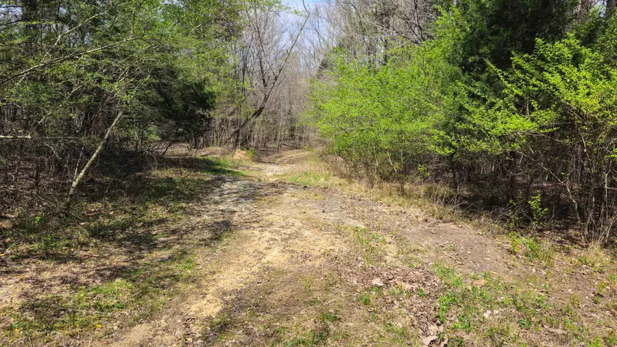 0 Co Rd 621, Lexington, AL 35648 - #3