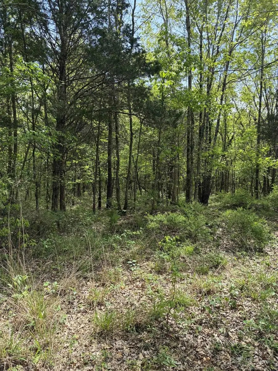 10 Co Rd 83, Russellville, AL 35653 - #3