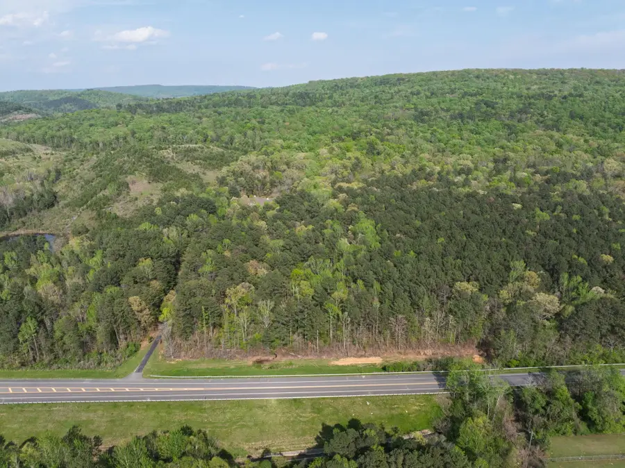 7867 Hwy 79, Pinson, AL 35126 - #3