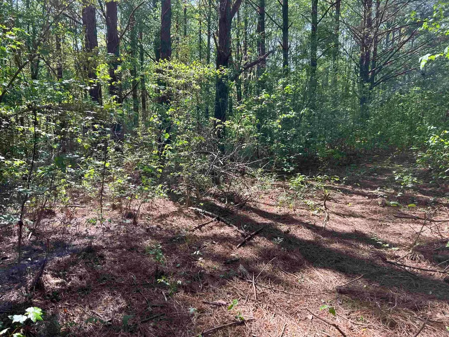 0 Co Rd 1125, Vinemont, AL 35179 - #2