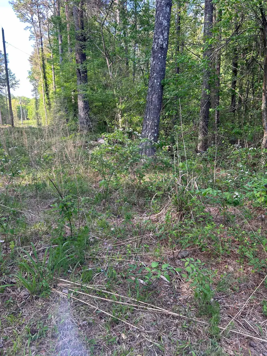 0 Co Rd 1125, Vinemont, AL 35179 - #3