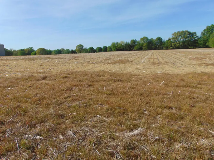 1174 Manley Rd, Hazel Green, AL 35750 - #3