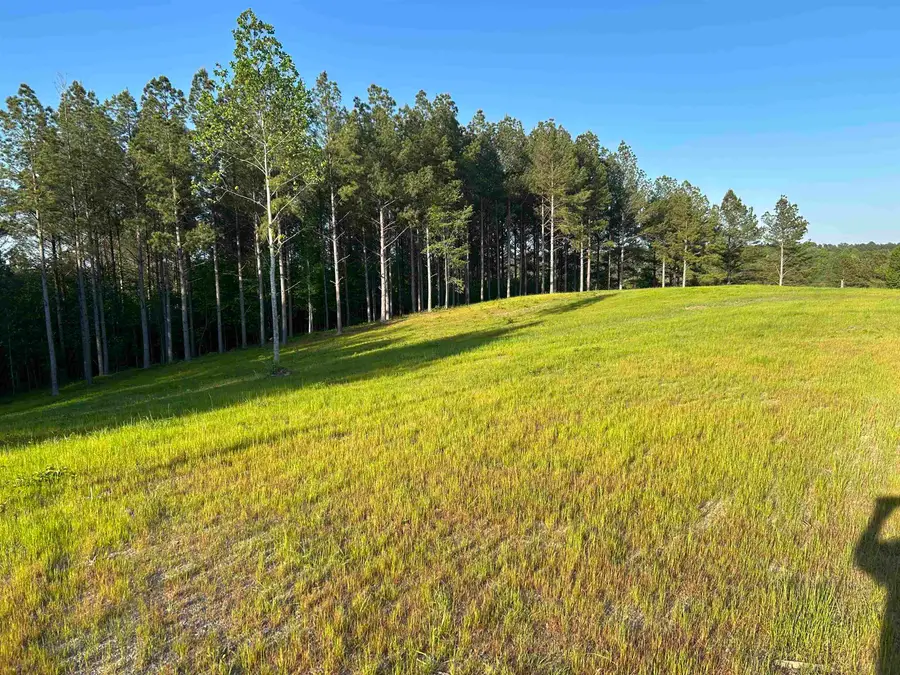 00 Co Rd 367, Crane Hill, AL 35053 - #2
