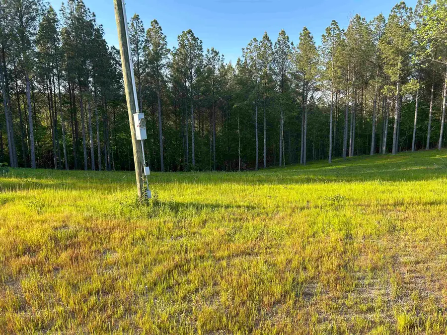 00 Co Rd 367, Crane Hill, AL 35053 - #3