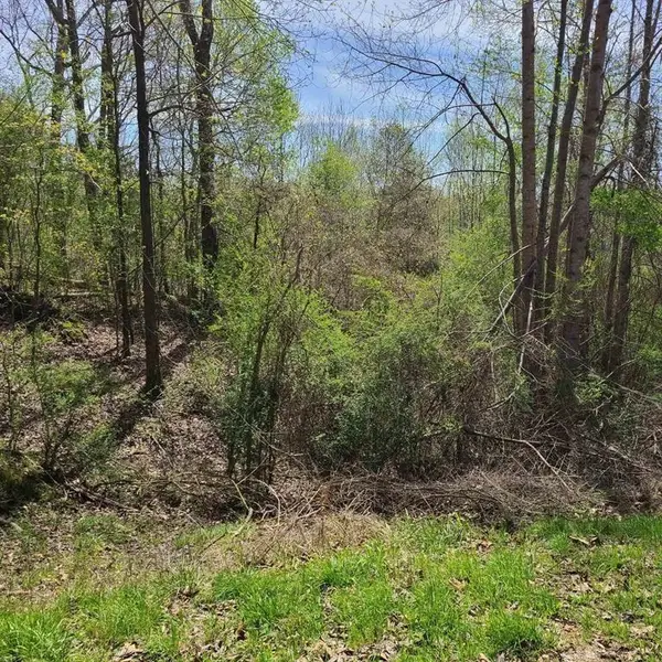 00 Wintergreen Dr, Hamilton, AL 35570