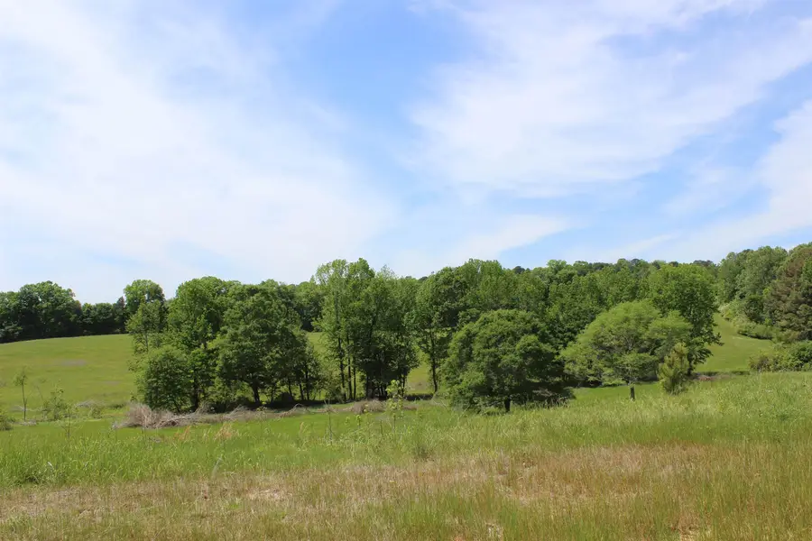 6338 Co Rd 813, Cullman, AL 35057 - #3