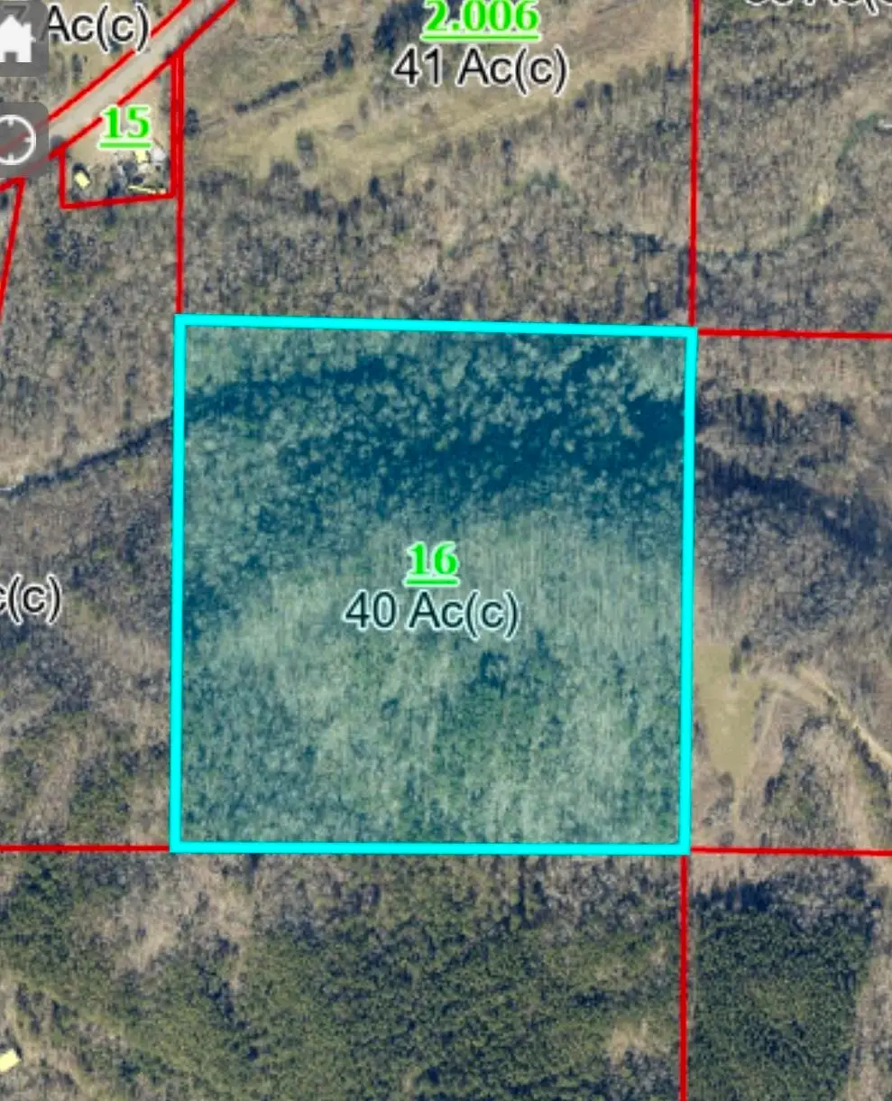 TBD Co Rd 30, Bremen, AL 35033 - #1