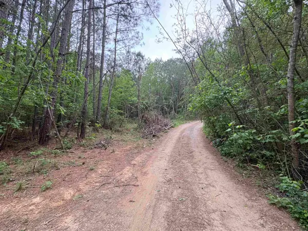 0 Wilhite Rd, Falkville, AL 35622