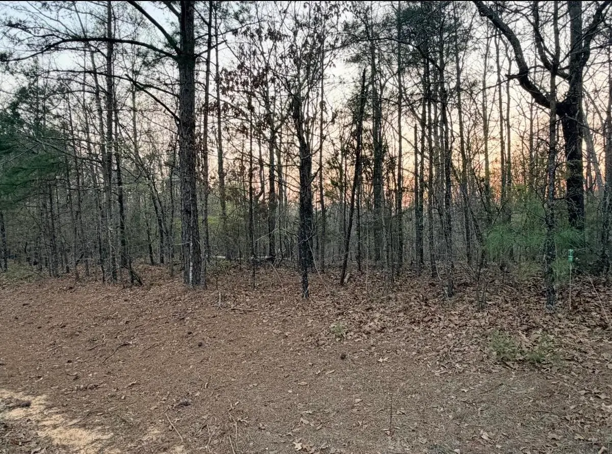 0 Co Rd 436, Hamilton, AL 35570 - #1