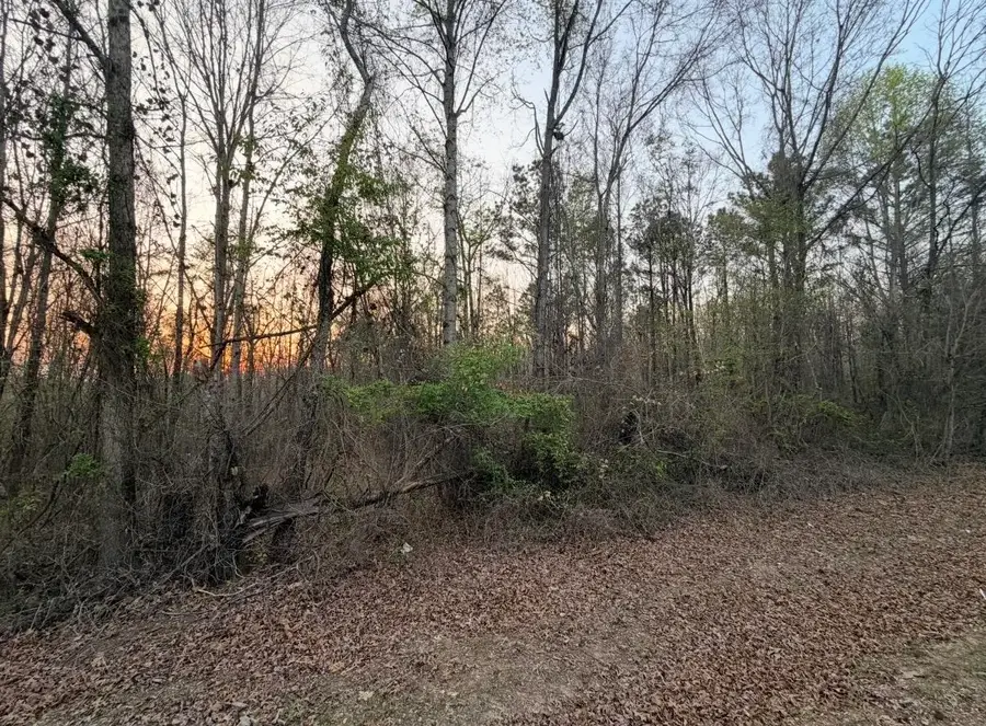 0 Co Rd 436, Hamilton, AL 35570 - #3