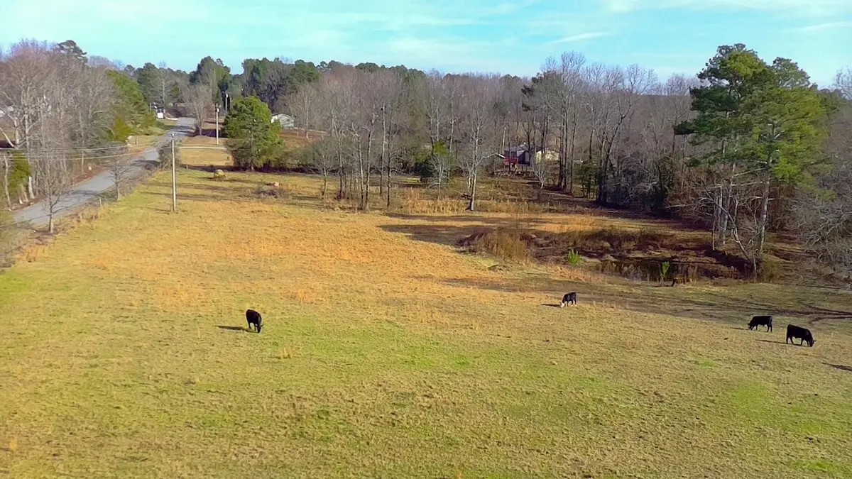 TBD Co Rd 109, Bremen, AL 35033 - #1