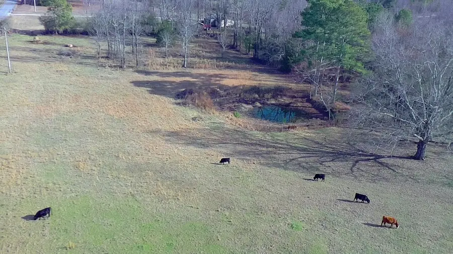 TBD Co Rd 109, Bremen, AL 35033 - #2